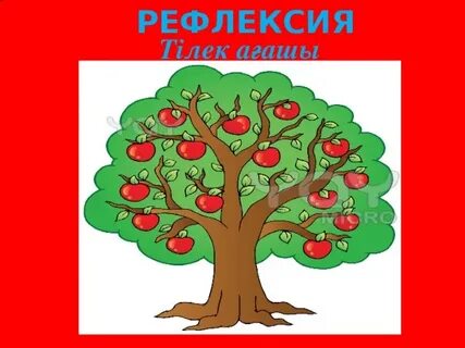 Жүктіліктің 29 аптасында жыныстық қатынас