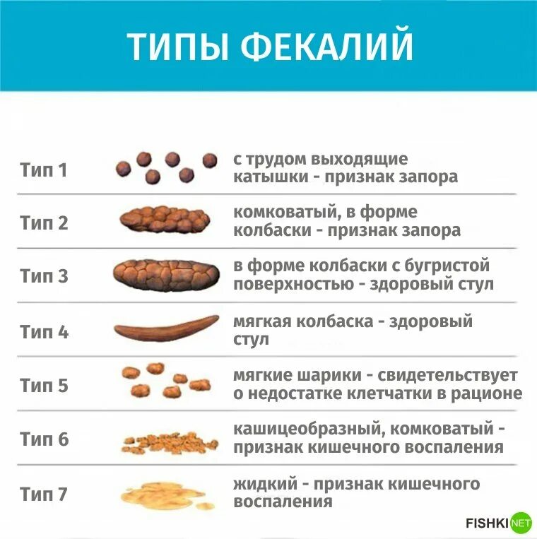 Кал сколько грамм. Тип фекалий. Виды кала у человека. Бристольская шкала формы кала.