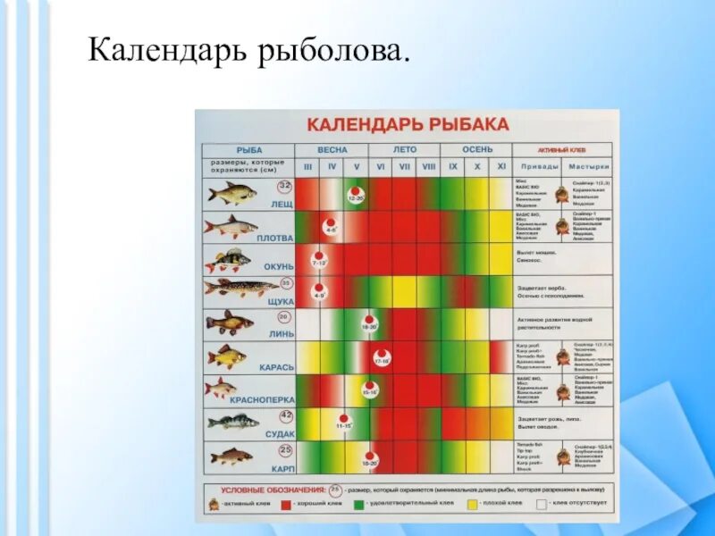 Календарь клева краснодарский край