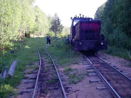 Узкоколейка в беларуси