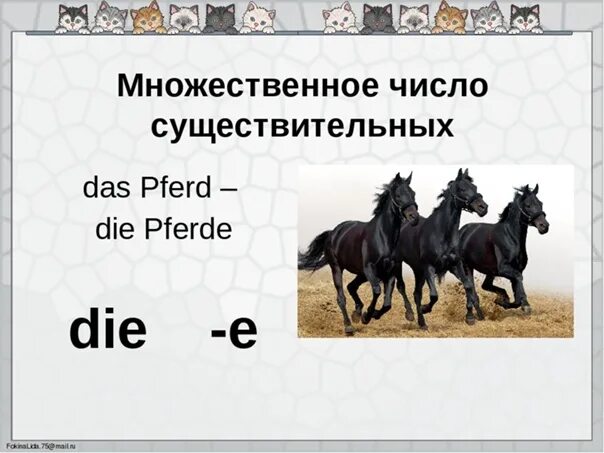 Медведь множественное число. Назови детенышей. Множественное число животных в немецком. Животные во множественном числе. Множественное числов английсклм для детей.