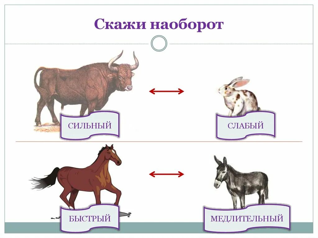 Наоборот другим словом. Игра скажи наоборот. Задание скажи наоборот для дошкольников. Игра скажи наоборот для дошкольников. Игра скажи наоборот картинки.