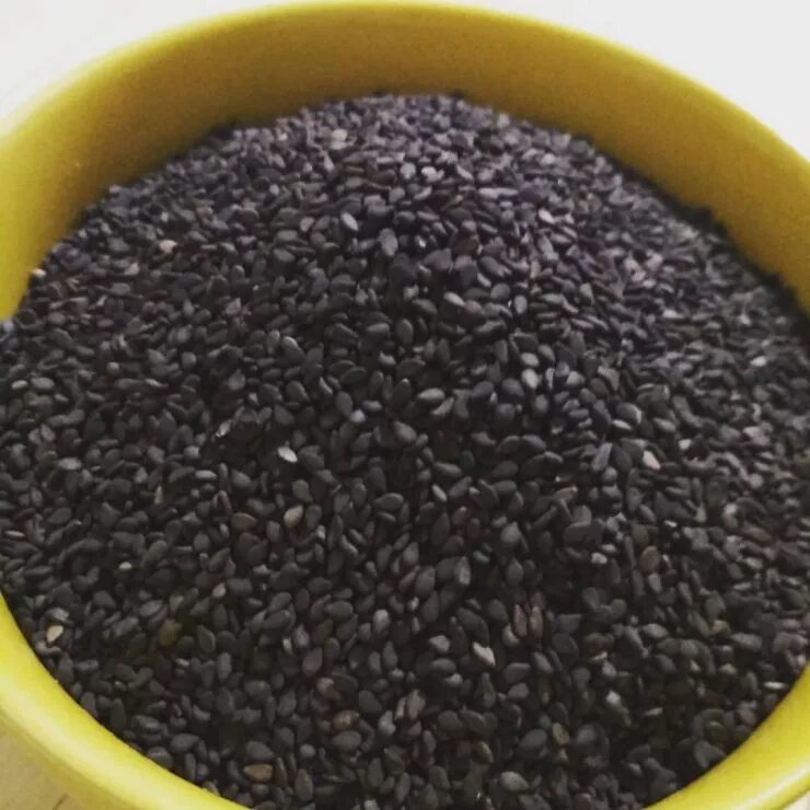 Черный кунжут семена чиа. Кунжут. Пророщенный черный кунжут. Семена чёрного кунжута польза. Кунжут черный.