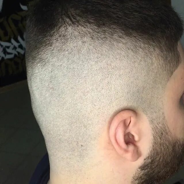 гриша grin. гриша grin. барбер волжский. гриша зеленый. барбер волжский.