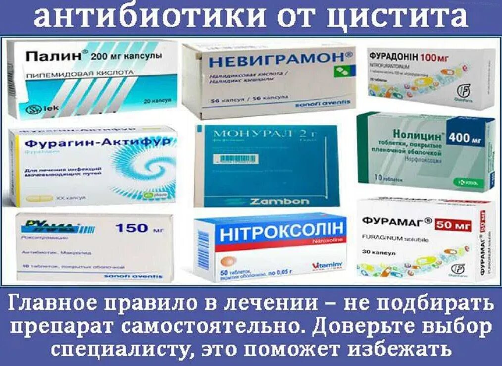 Цистит лечение и симптомы какие антибиотики. Антибиотик цистит от цистита. препараты от цистита лучшие антибиотик. антибиотик при цистите 1 таблетка. таблетки от цистита для женщин антибиотик.
