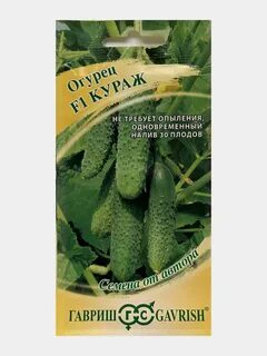 Огурец сорта кураж отзывы