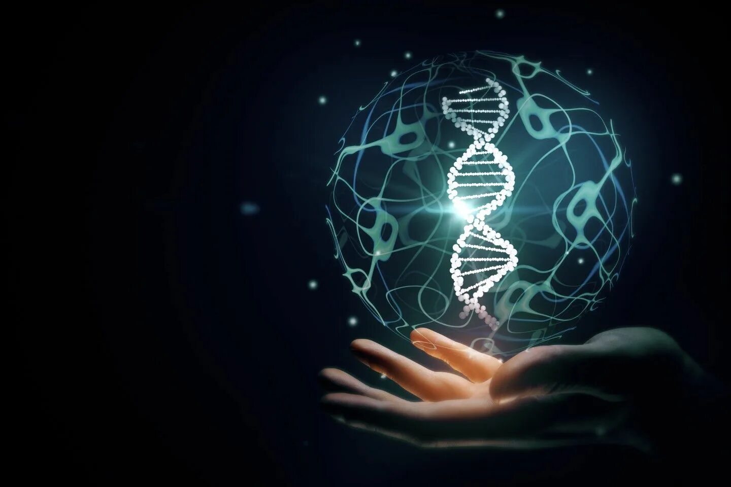 What does genetics as a science study