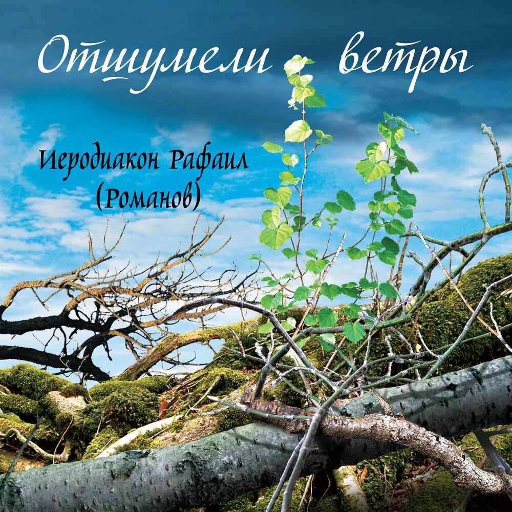 Песня сыновья россии. Сыны России. Отшумело море. Сыновья России кто. Отшумело море за кормою.