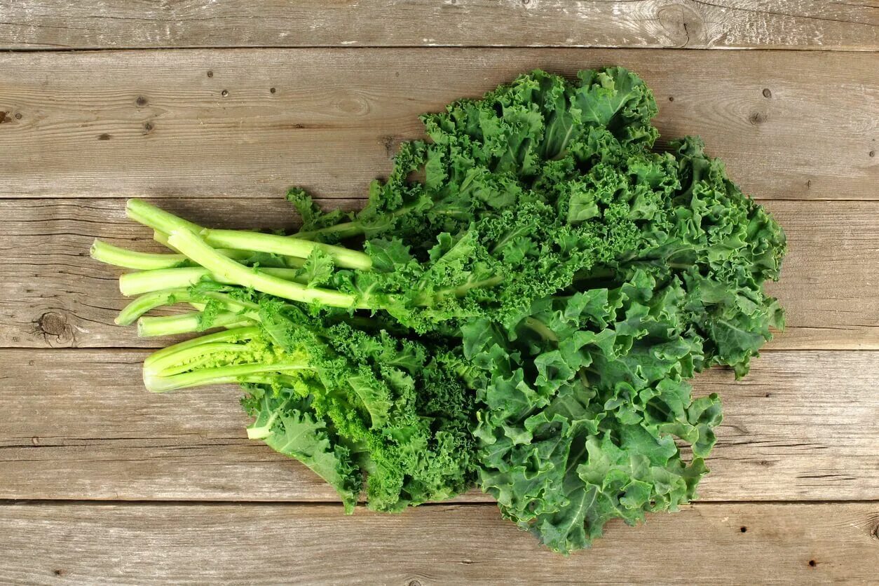Chou frisé, chou vert, chou plume ou encore chou kale, tous désigne ce même légu