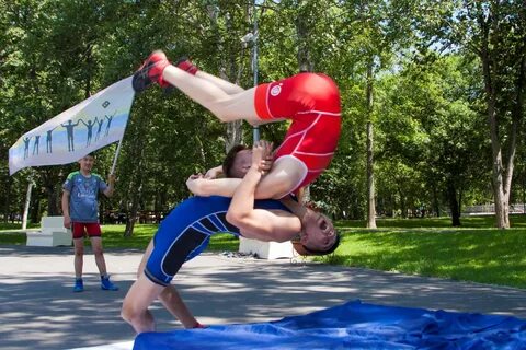 Южная борьба