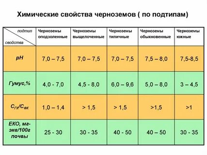 Свойства чернозема