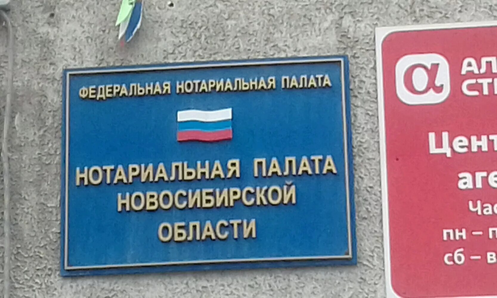 нотариальная палата новосибирск. нотариальная палата новосибирской области. васильева елена николаевна новосибирск мэрия. нотариальная палата ростовской области официальный сайт. новосибирск дуси ковальчук 252 нотариус.