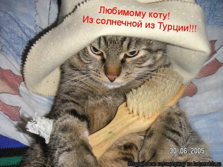 Котик в бане. С легким паром котик. Котик после бани. С лёгким паром кот. Хорошо потри мою киску