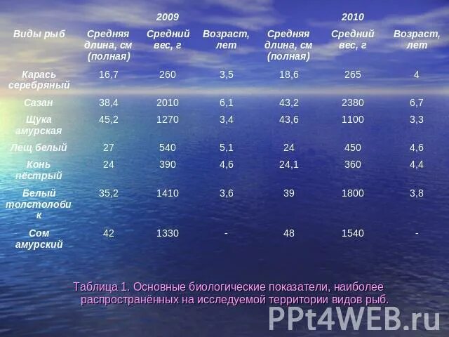 Средний возраст рыб