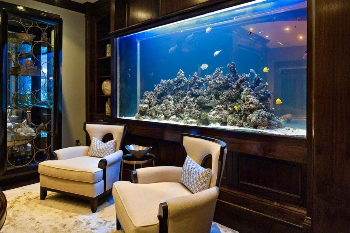 Аквариум aquarium. Аквариум. Аквариум в интерьере квартиры. Большие аквариумы. Самые красивые аквариумы.
