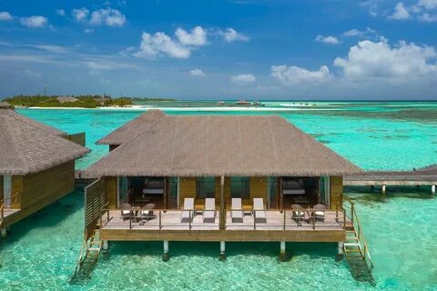 Cocoon maldives 5