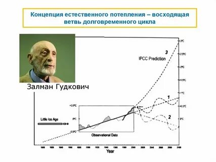 Натуральные концепции