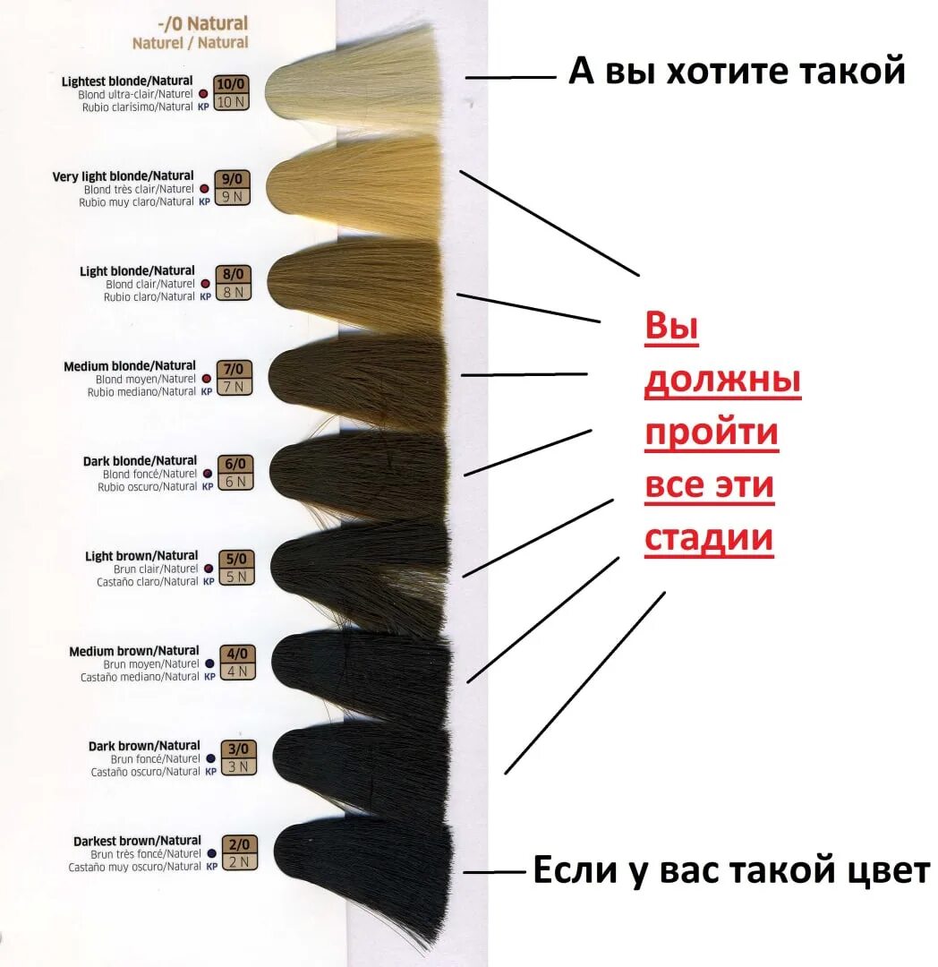 Осветления волос 6. Палитра Оллин для 5 угт. Палитра натуральных оттенков. Палитра натуральных оттенков волос. Уровни цвета волос.