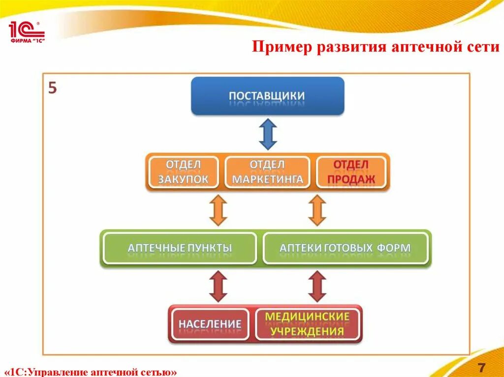 Перспективы развития аптеки. Структура аптечной сети. Форма управления аптечной сетью. Структура управления аптеки. Маркетинговые закупки