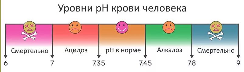 Щелочная реакция крови