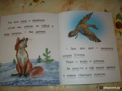 Сказка хитрый лис и уточка