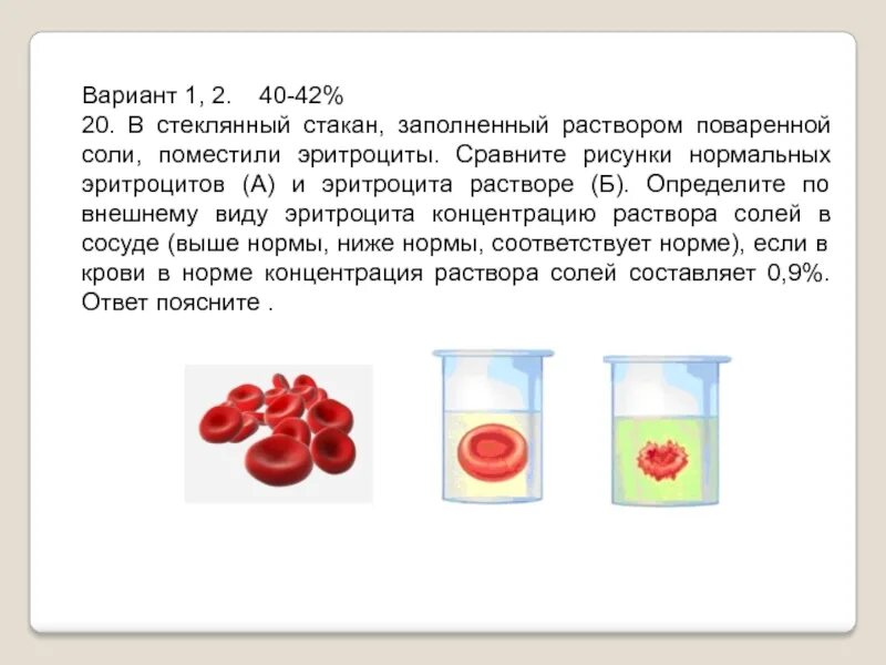 Экспериментатор решил исследовать изменения происходящие с эритроцитами