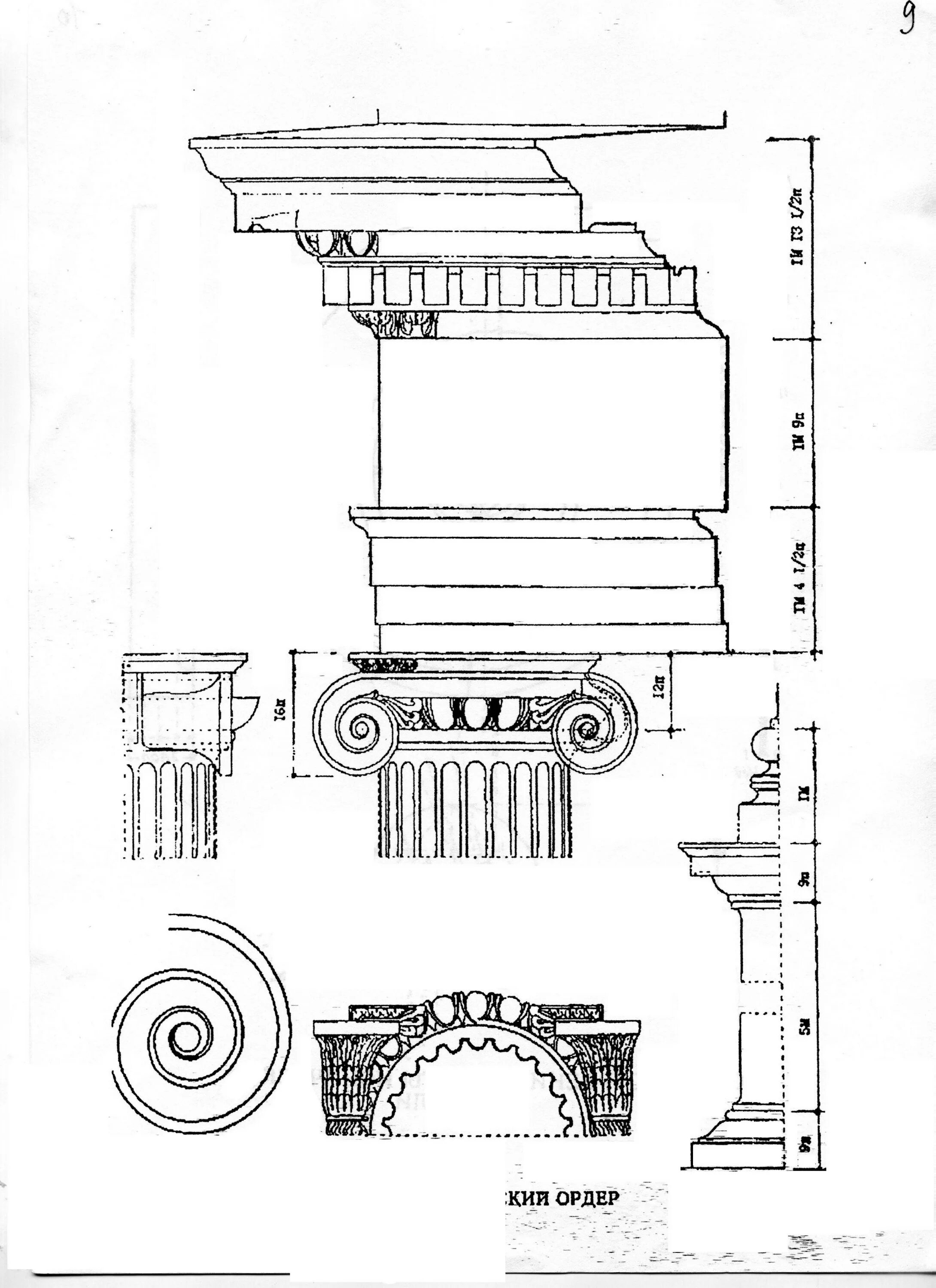 Валюта ордера. Ионический ордер Палладио антаблемент. Капитель Ионического ордера. Капитель дорического ордера сбоку. Построение антаблемента Ионического ордера.