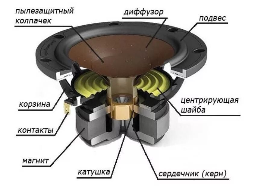 Диффузор зачем. Устройство сабвуфера схема. Схема устройства динамического громкоговорителя/динамика.. Строение динамика колонки. Из чего состоит динамик акустический.
