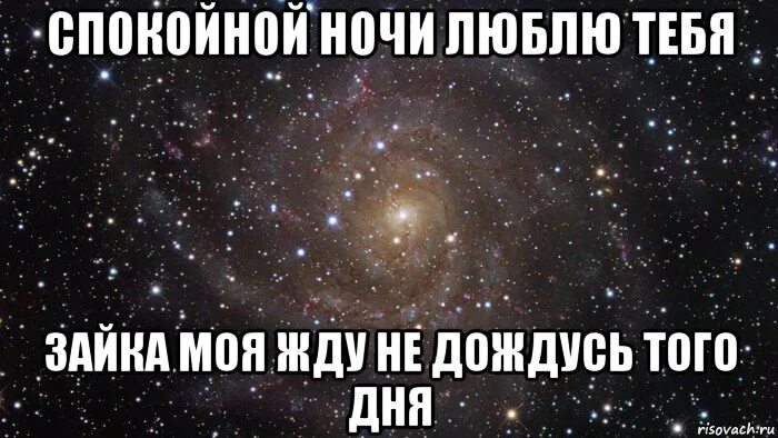 Самбука зая люблю тебя. Спокойной ночи зайчик мой. спокойной ночи зая. спокойной ночи зайка моя. спокойной ночи зайчик мой любимый.