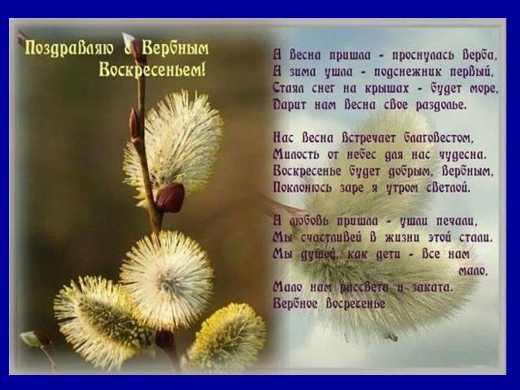 Стихотворение про воскресенье. Вербное воскресенье пожелания. Поздравление с Вербным воскресеньем в стихах. Вербное воскресенье поздравления. Вербное воскресенье картинки с поздравлениями.