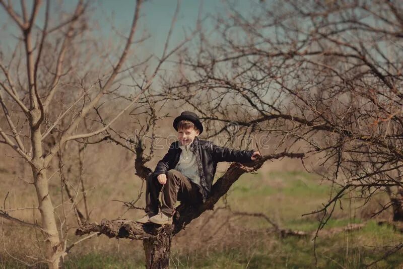 Мальчик сидит на дереве. Мальчишка на дереве. Мальчик сидит на ветке дерева. Лес мальчики деревья. Видит сидит на дереве