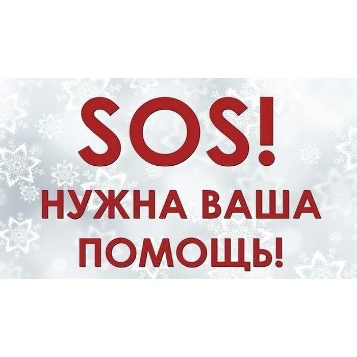 Сос нужна помощь щенкам. Сос нам нужна помощь она здесь ремикс. Срочно нужна помощь. Sos помощь. Сос нам нужна помощь она здесь ремикс.