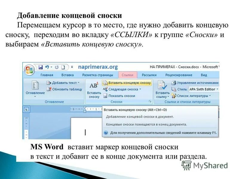 Вкладка ссылки содержит. Вкладка ссылки содержит