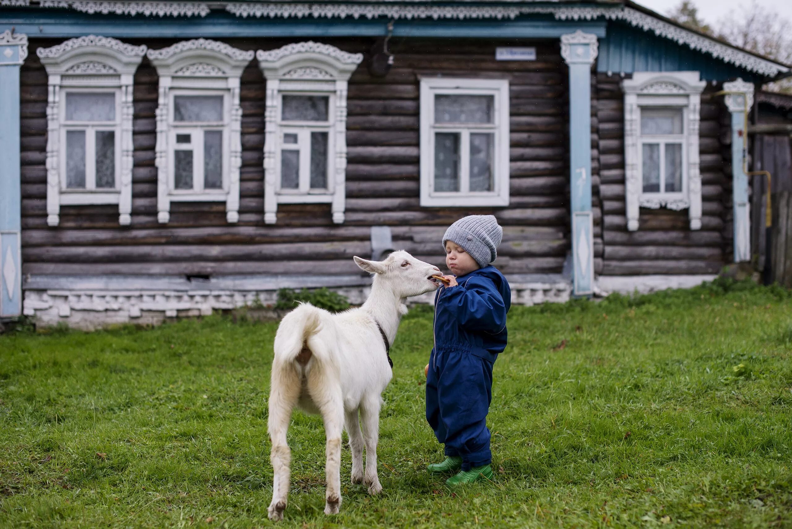 Городская в деревне 2. Ах деревня. Семья в деревне. Эх ты деревня. Ты в деревне?.