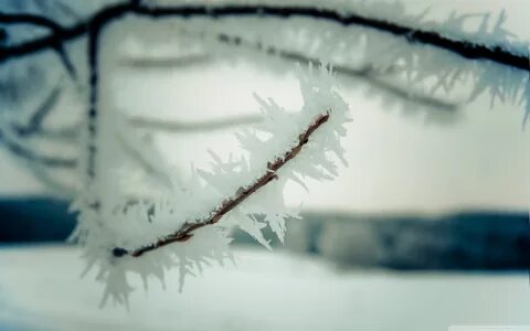 Колючий снег песня
