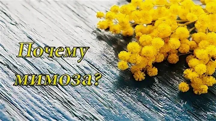 Подарю мимозу маме