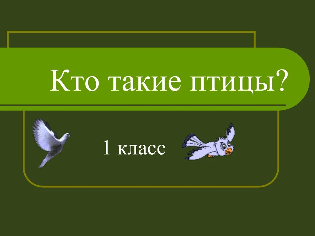 Кто такие птицы. Кто такие птицы для детей. Презентация птицы 1 класс. Окружающий мир кто такие птицы. Окружающий мир птицы видеоурок