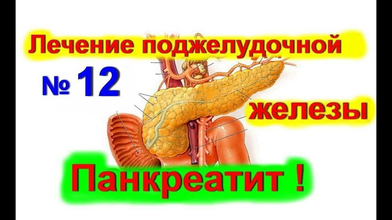 Как вылечить поджелудочную железу. Лекарства для панкреатита поджелудочной железы. как лечить поджелудочную железу. поджелудочная железа народные средства панкреатит. как пролечить поджелудочную железу.
