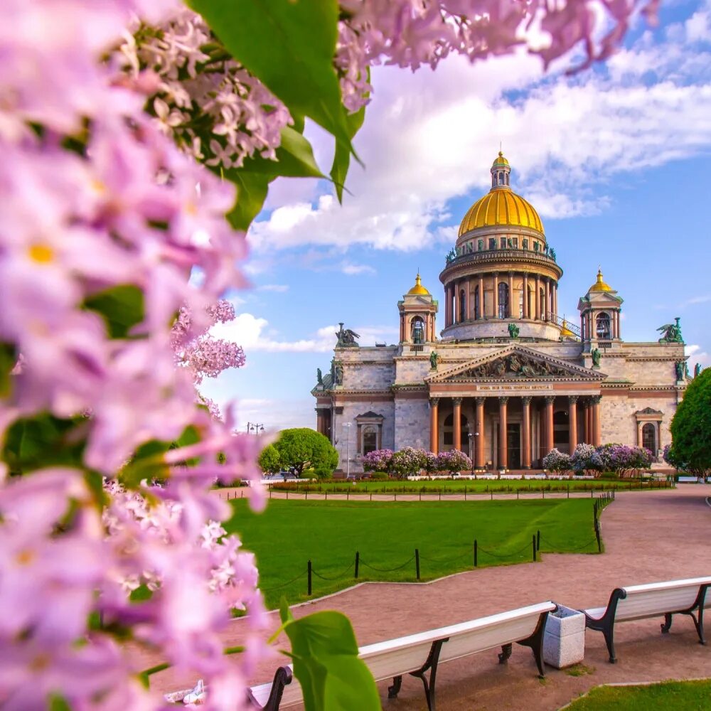 Куда сходить в питере в мае 2024