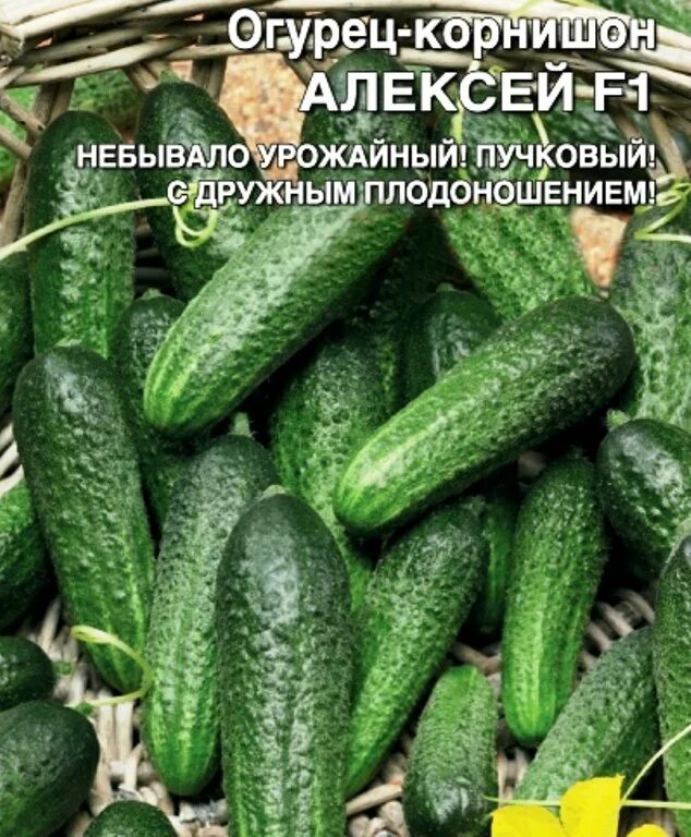 Приднестровскому народу всех самых добрых благ! Процветания, успехов!", россий