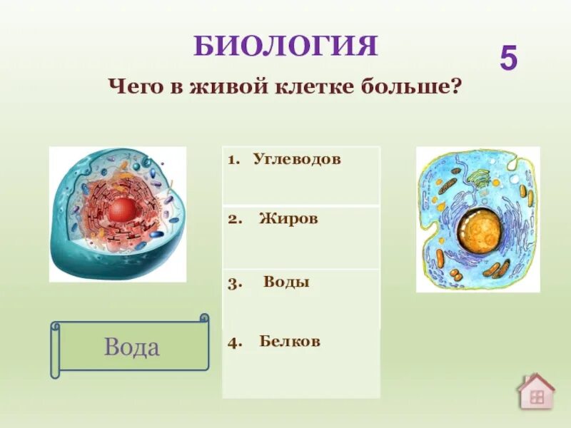 Вода биология 10. Вода биология. Биология вода биология. Ячейки воды в биологии. Вода в живой клетке.