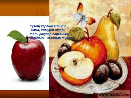 Русское порно: брат трахается қарындасы