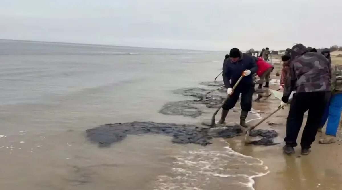 Разлив мазута в черном море как произошло. Разлив мазута в черном море как произошло