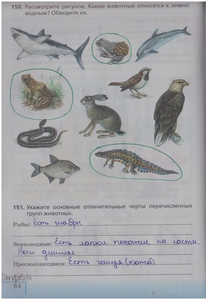 Биология 5 класс стр 21. Биология 5 класс рабочая тетрадь стр 64. Биология 5 класс страница 5. Классы позвоночных животных биология 5 класс. Биология 5 класс рабочая тетрадь стр 56.