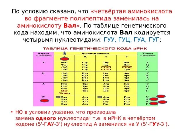 Как изменится последовательность полипептида. Аминокислот во фрагменте полипептида. Четвертая аминокислота. Решение задачи по теме аминокислоты. Val аминокислота.