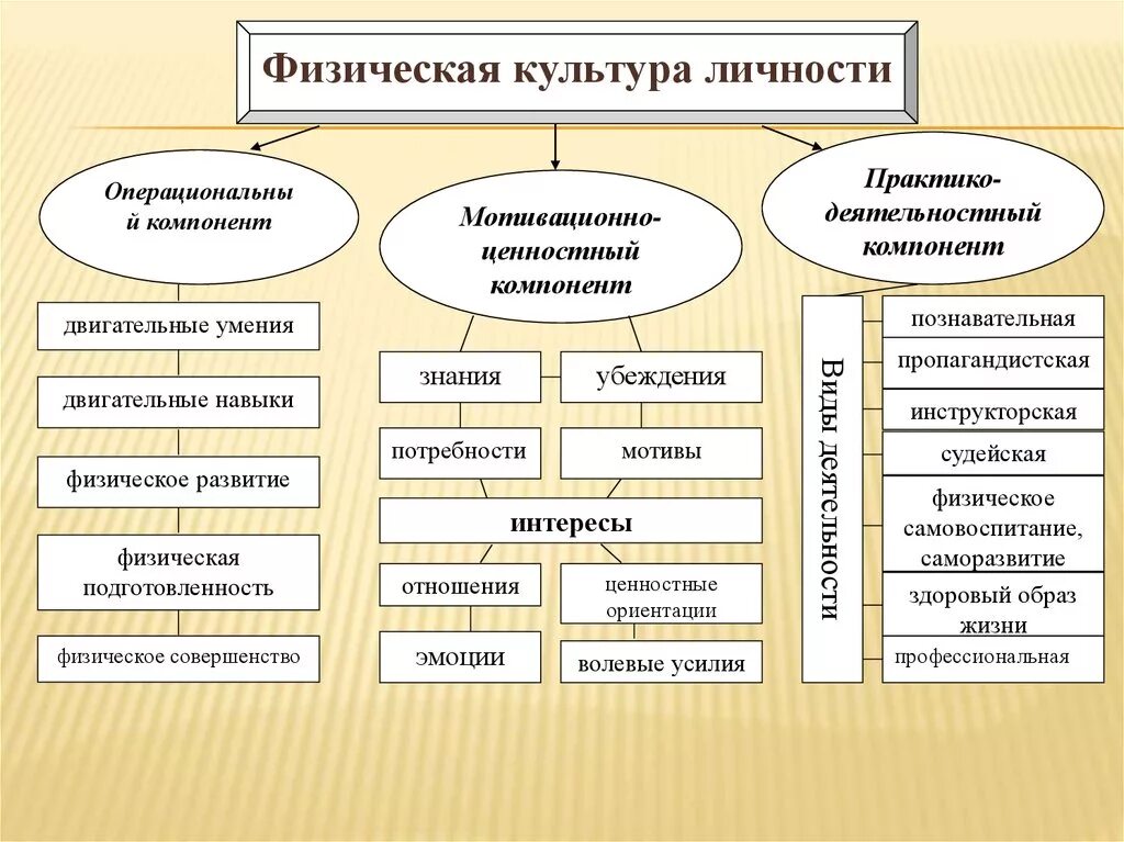 Компонент физического воспитания. Принципы физической культуры. Принципы системы физической культуры. Компоненты физической культуры личности. Принципы физкультуры.