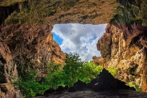 Секс помпасы туралы бейне