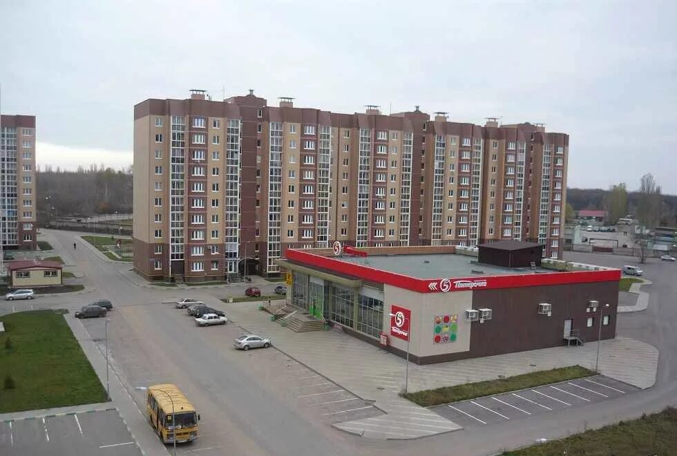 Шилово цветы. Магазин дружба шилово. 15. Магазин мандарин в шилово. Курчатова 32/1 воронеж.
