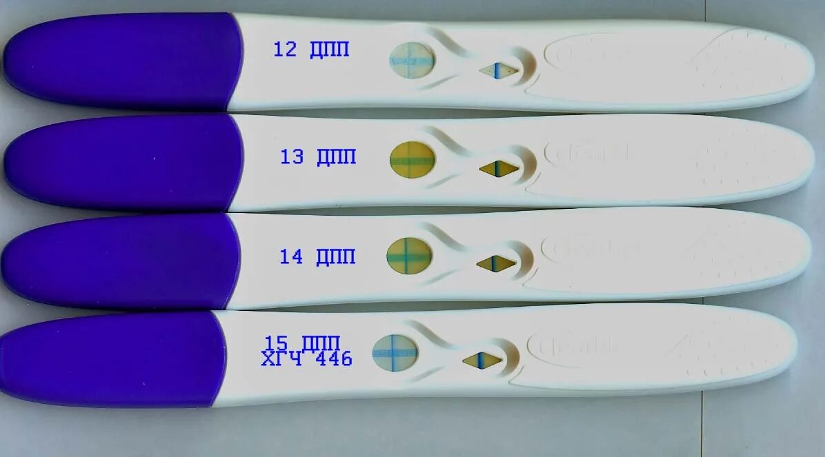 Что обозначают полоски на тесте на беременность