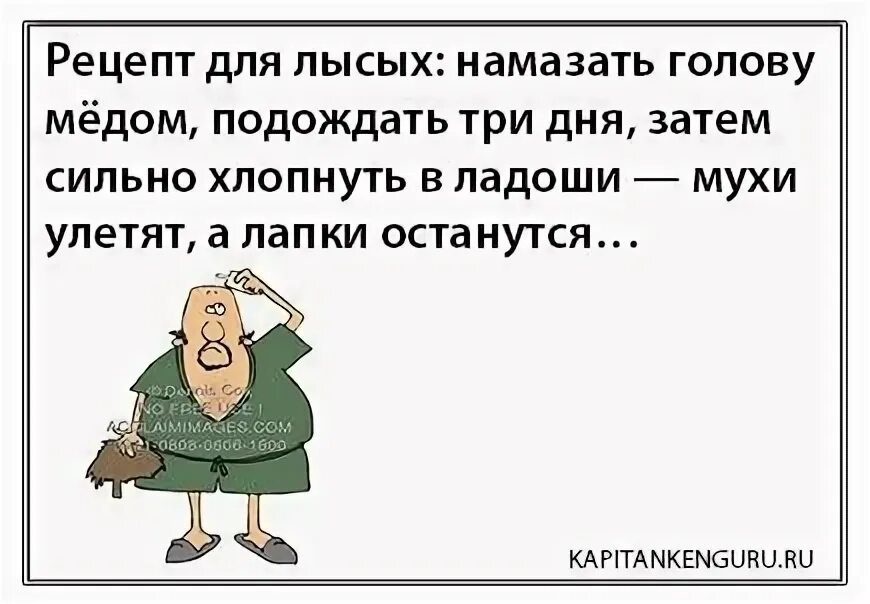 1 мед в голове. Шутки про лысых. Рецепт для лысых. Рецепт для лысых намазать голову медом подождать три. Анекдоты про лысых.